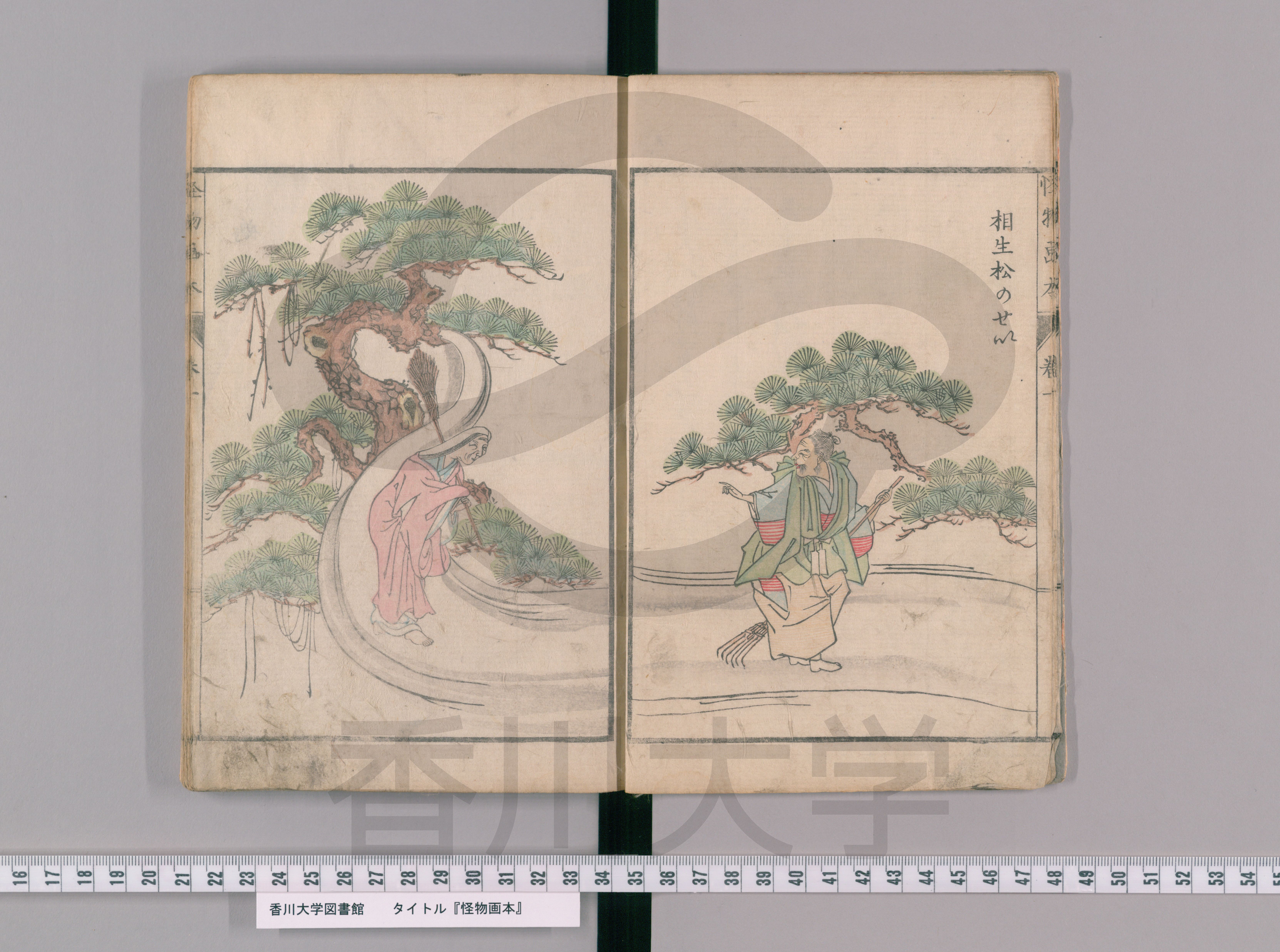 河蛙考 文政九年 写本 - 和書