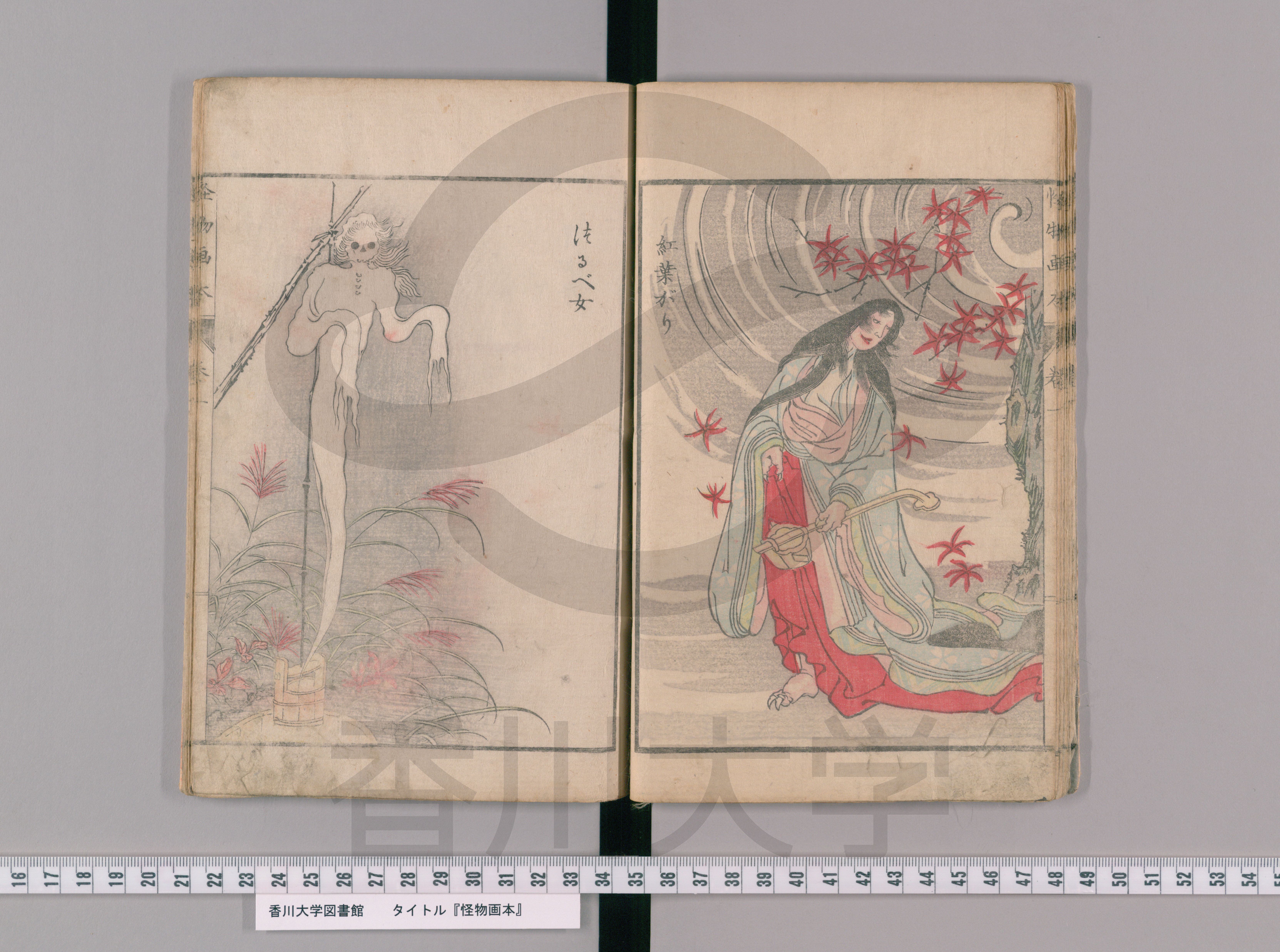 河蛙考 文政九年 写本 - 和書